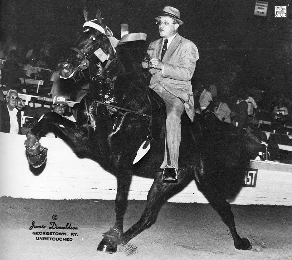Ebony's Dixie Belle